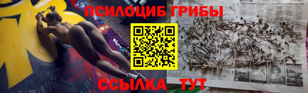 Галлюциногенные грибы мицелий  Галлюциногенные грибы прущие грибы  Холмск  Вход с VPN 